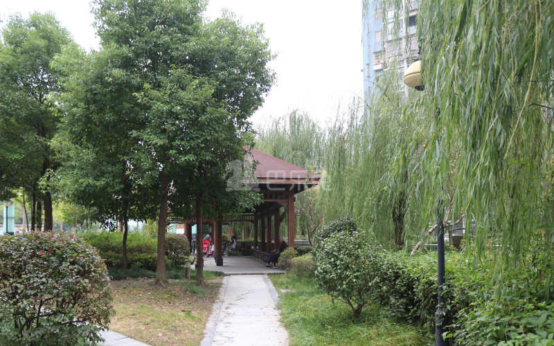 滨康小区18081139周边环境图2