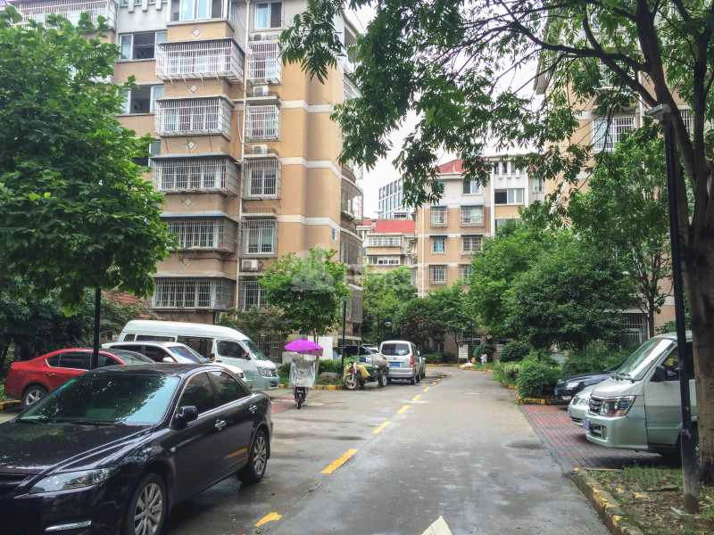 缤纷小区18163106周边环境图6