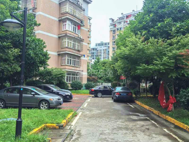 缤纷小区18163106周边环境图7