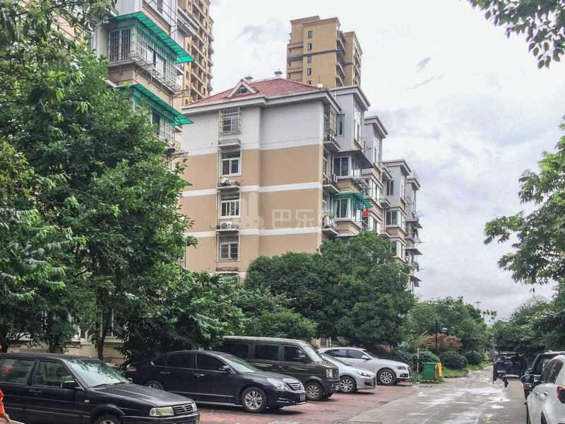 缤纷小区18163106周边环境图9