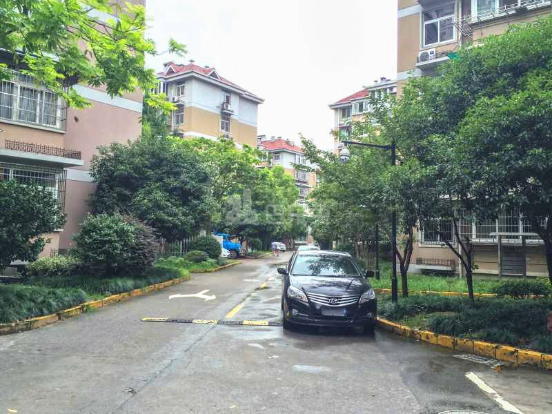 缤纷小区18163106周边环境图12