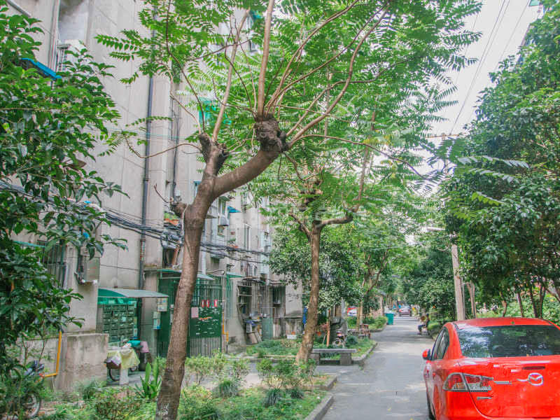 朝晖七区6977329周边环境图10