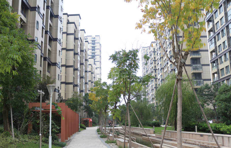 铂金名筑18101292周边环境图3