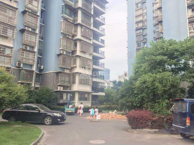 滨康二苑17643585周边环境图14