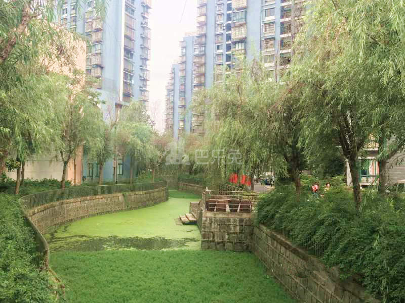 滨康二苑17643585周边环境图12