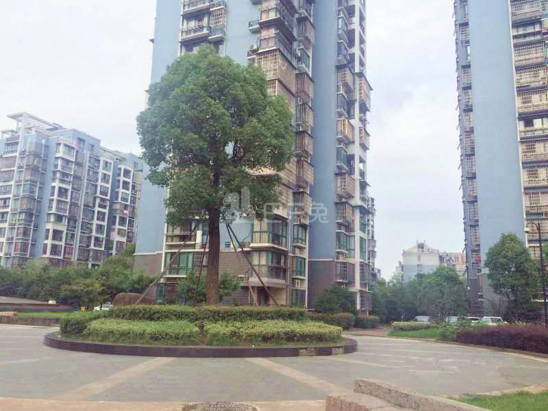 滨康二苑17643585周边环境图11