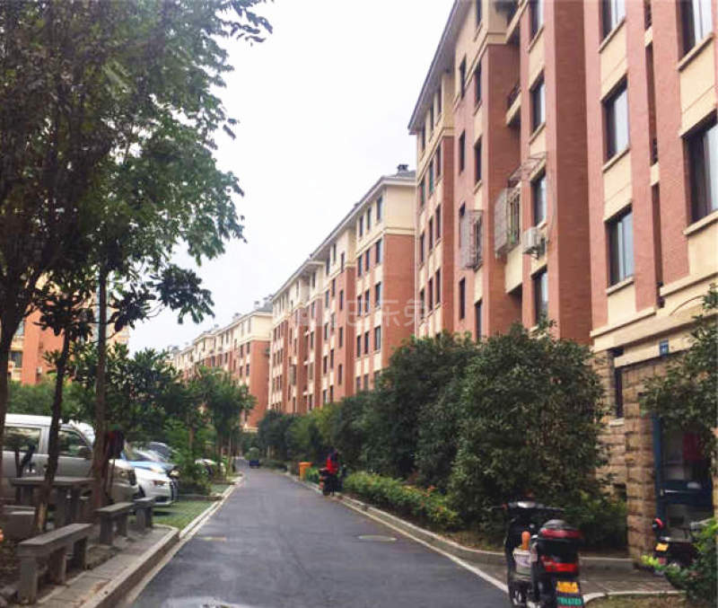 丁桥家苑18066876周边环境图11