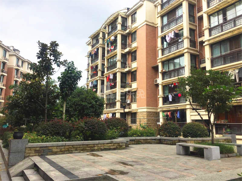 丁桥家苑18066876周边环境图10