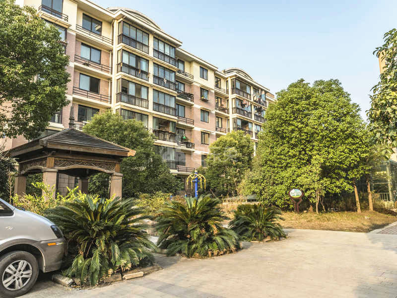 丁桥家苑18066876周边环境图6