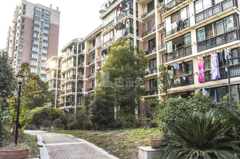 丁桥家苑18066876周边环境图5