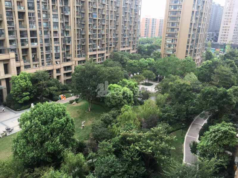 德信早城18460309周边环境图15