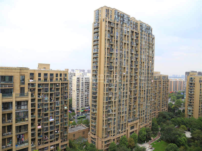 德信早城18460309周边环境图12