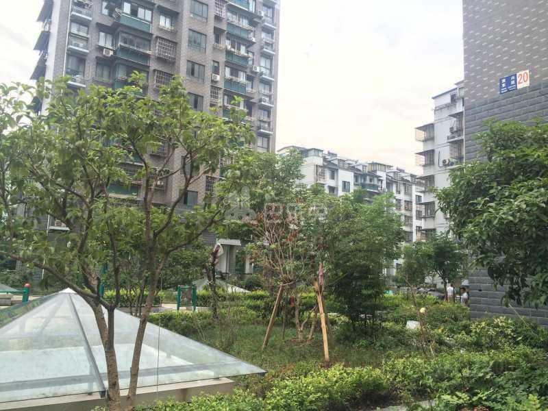 滨兴东苑9036115周边环境图27