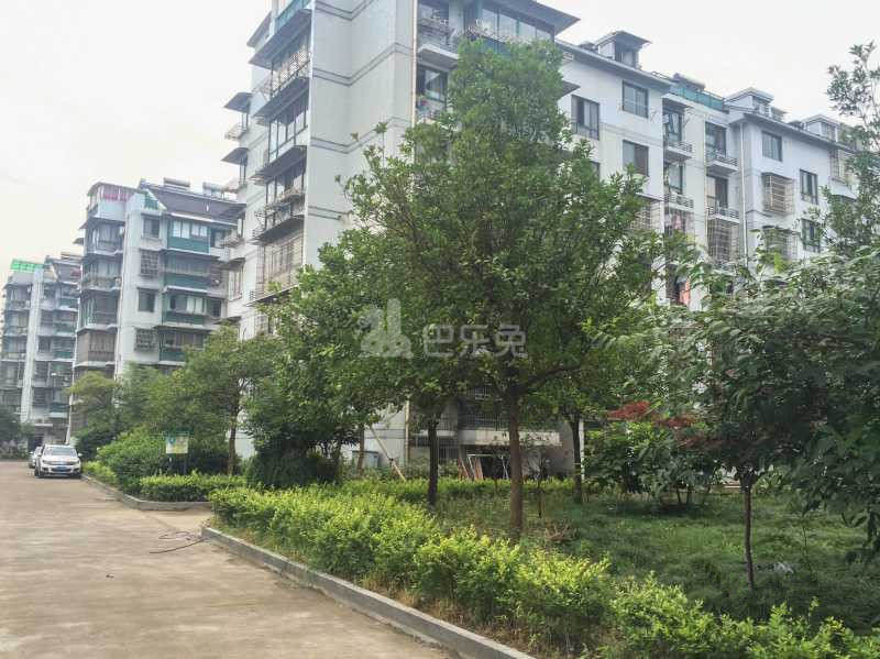 滨兴东苑9036115周边环境图23