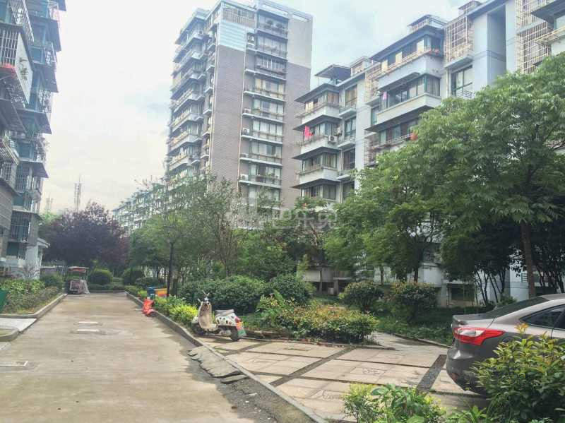 滨兴东苑9036115周边环境图20