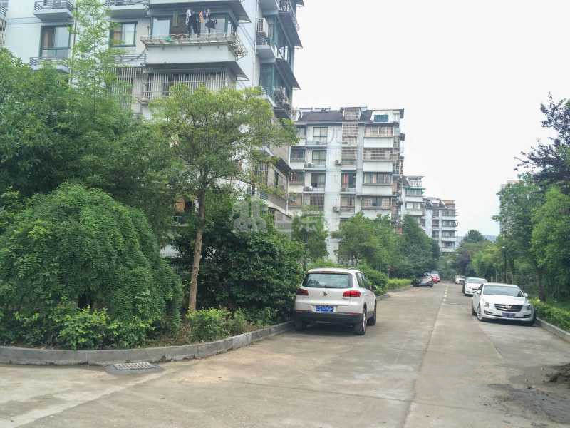 滨兴东苑9036115周边环境图18