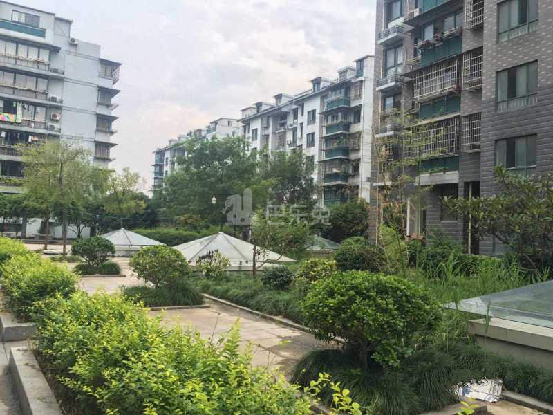 滨兴东苑9036115周边环境图17