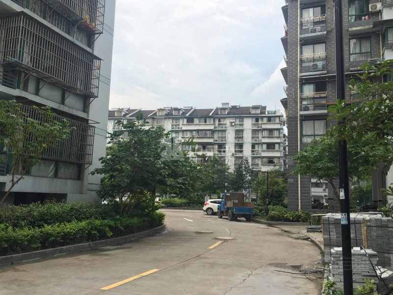 滨兴东苑9036115周边环境图16