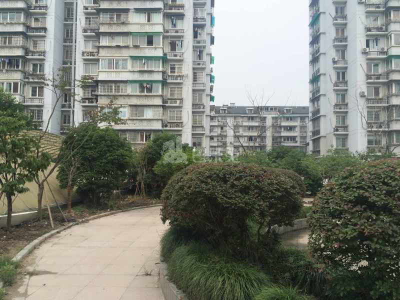 滨兴西苑18355636周边环境图13