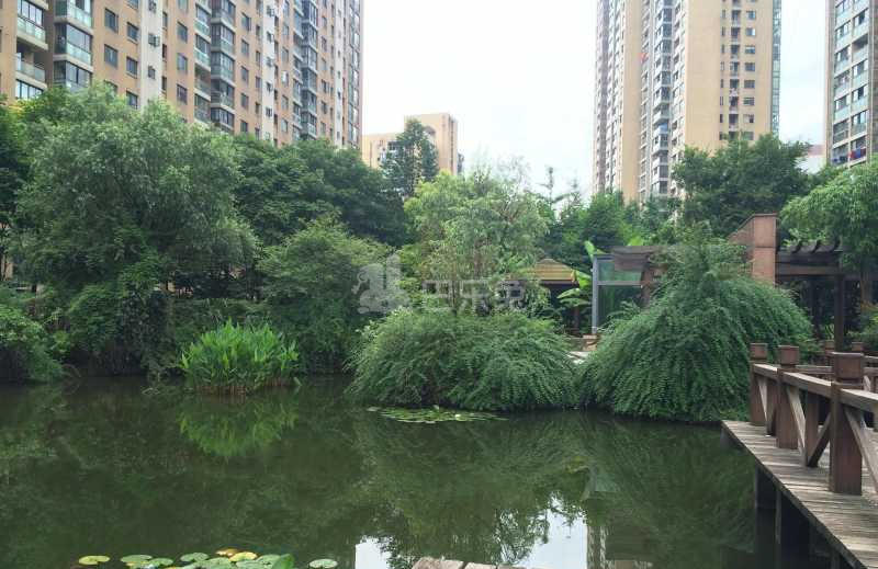 风雅钱塘18340646周边环境图7