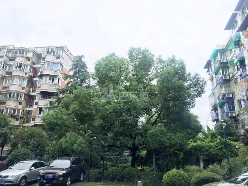 恩济花苑18232900周边环境图4