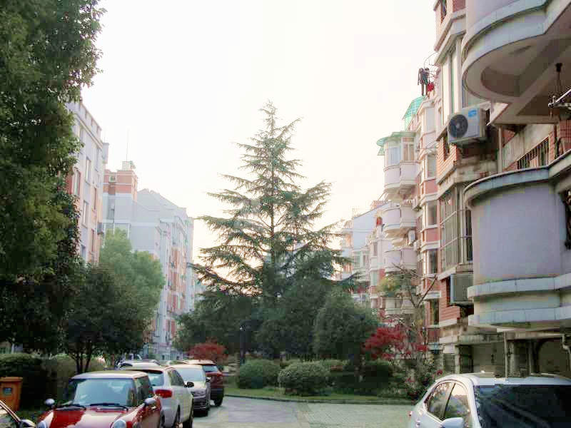 恩济花苑18232900周边环境图7