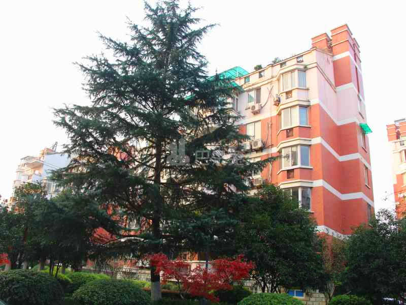 恩济花苑18232900周边环境图11