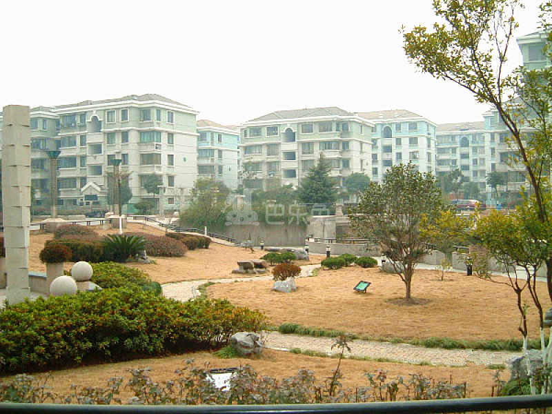 府新花园东区13503994周边环境图9