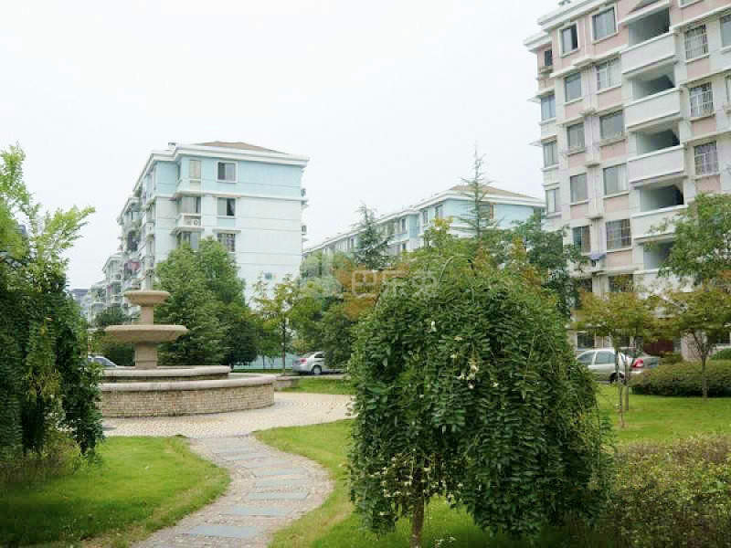 府新花园东区13503994周边环境图8