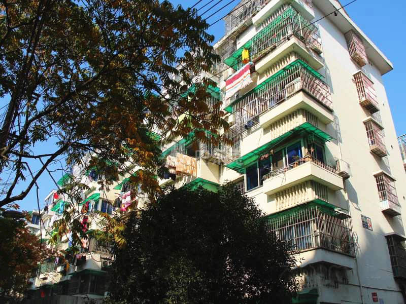 古荡新村东区18413994周边环境图16