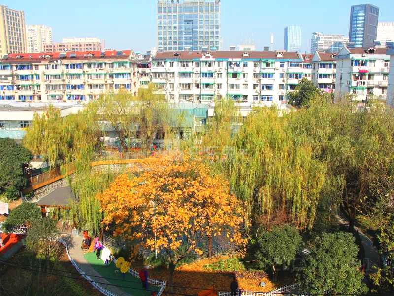 古荡新村东区18413994周边环境图10