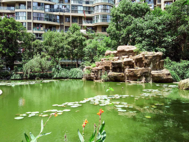 红街公寓（小区）18243901周边环境图5