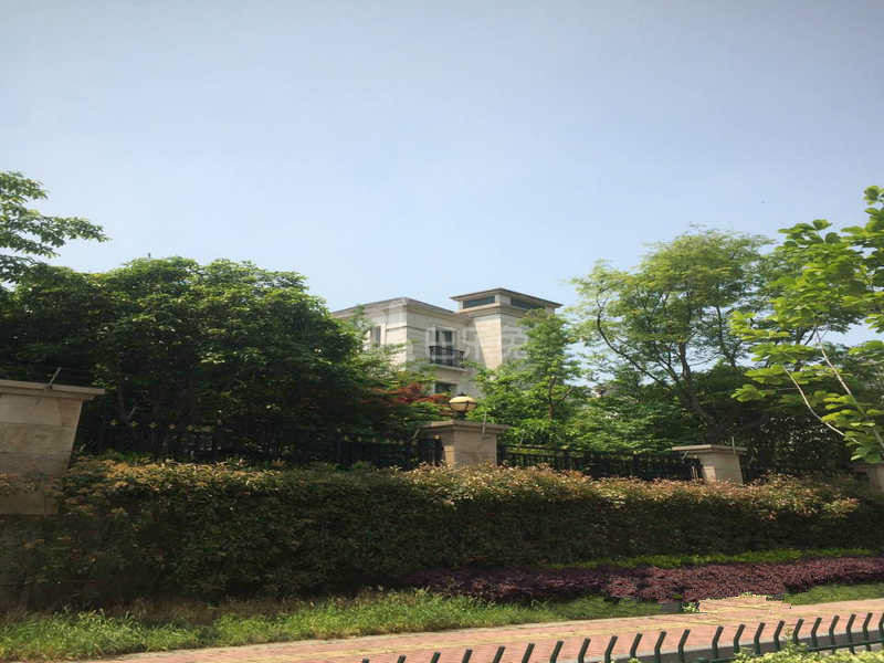 开元广场（开元名城）15618647周边环境图6