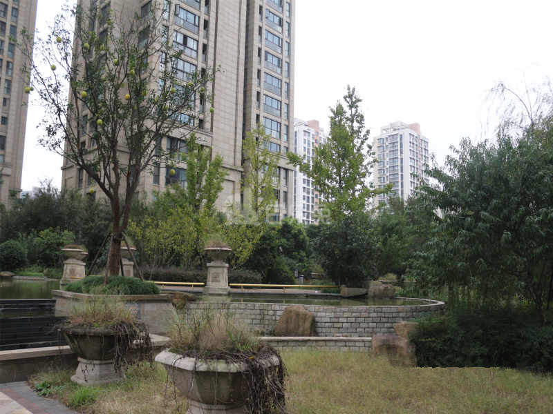 积家小区18482987周边环境图8