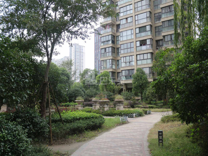 积家小区18482987周边环境图9