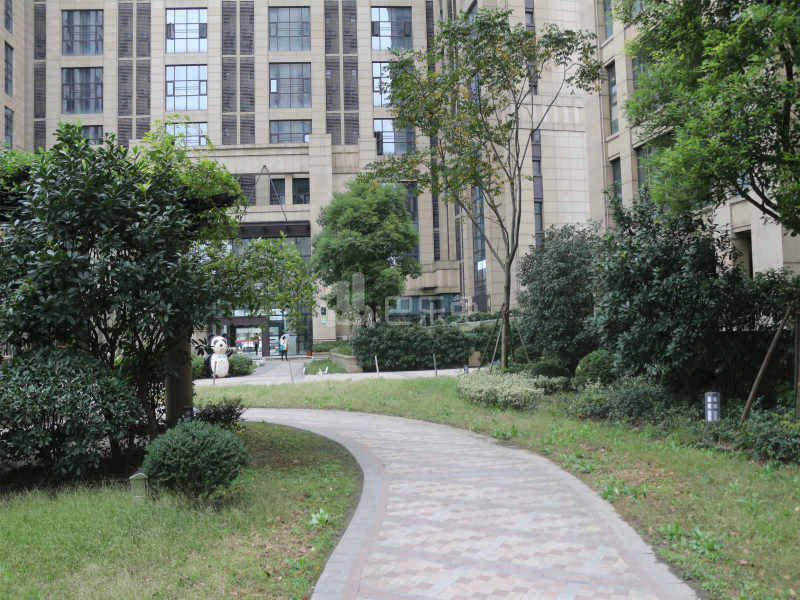 积家小区18482987周边环境图10