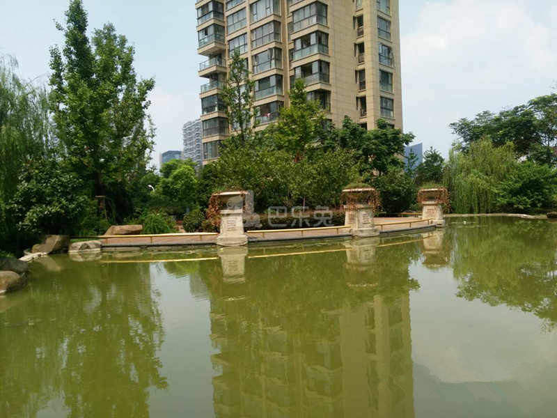 积家小区18482987周边环境图11