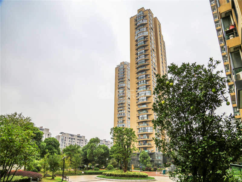 四季风景苑18433015周边环境图8