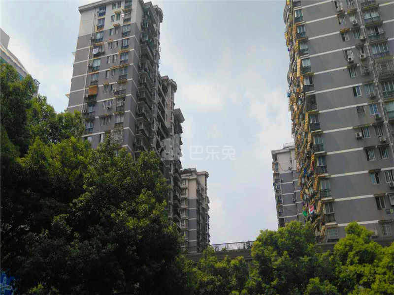 星河明苑17595535周边环境图10