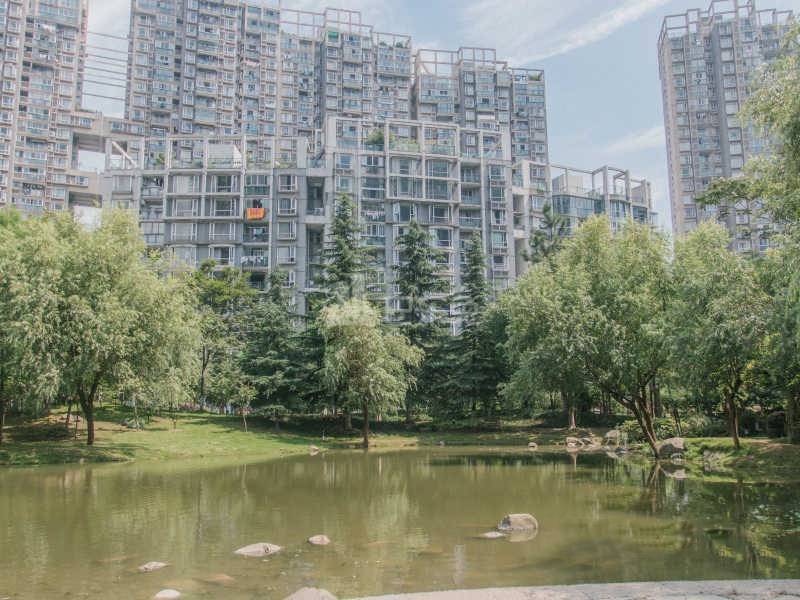 现代名苑15743225周边环境图4