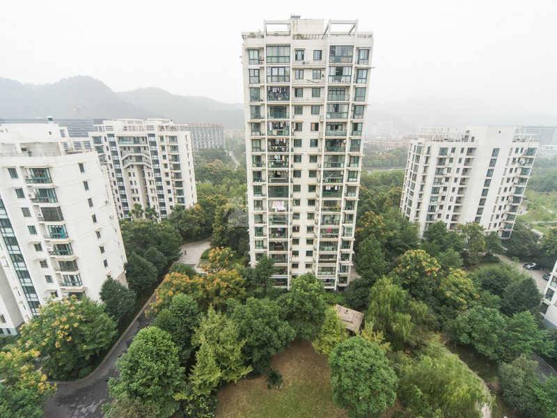 新安嘉苑11345073周边环境图5