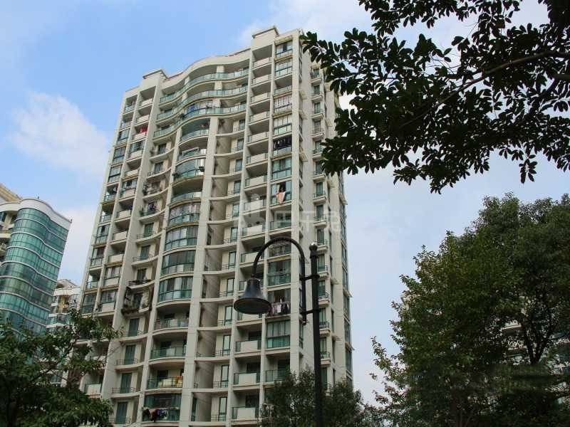 新安嘉苑11345073周边环境图9