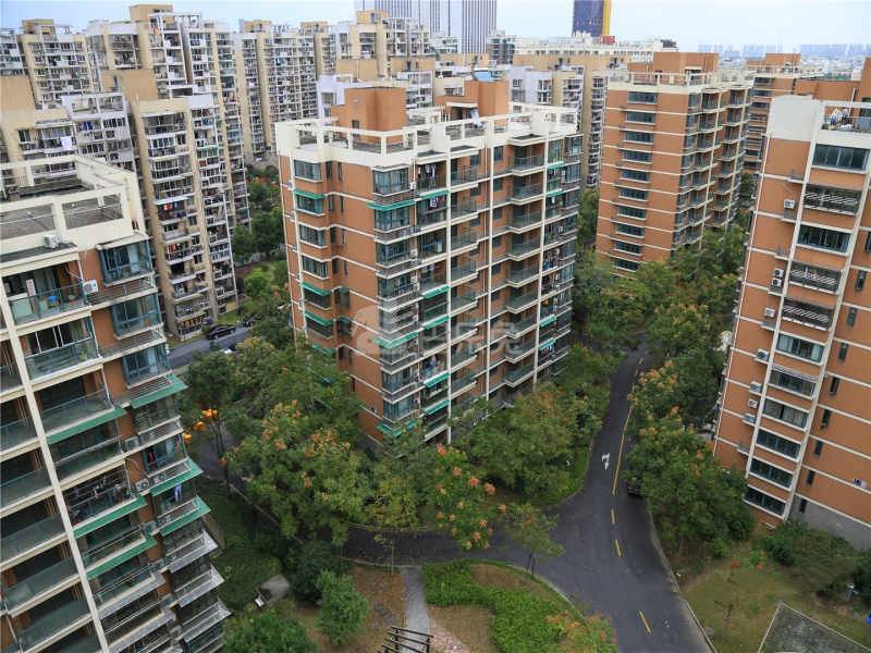 新沙家园18397004周边环境图5