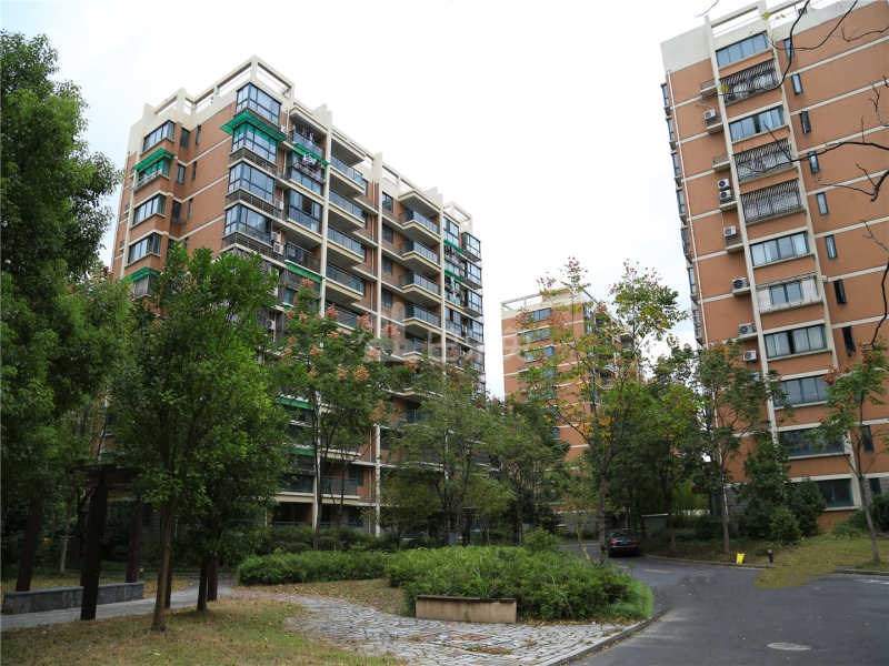 新沙家园18397004周边环境图6