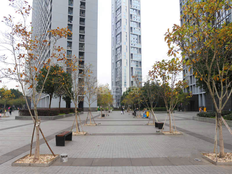 六合天寓18092434周边环境图5