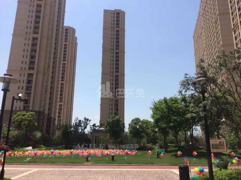 雅居乐国际花园15652940周边环境图13