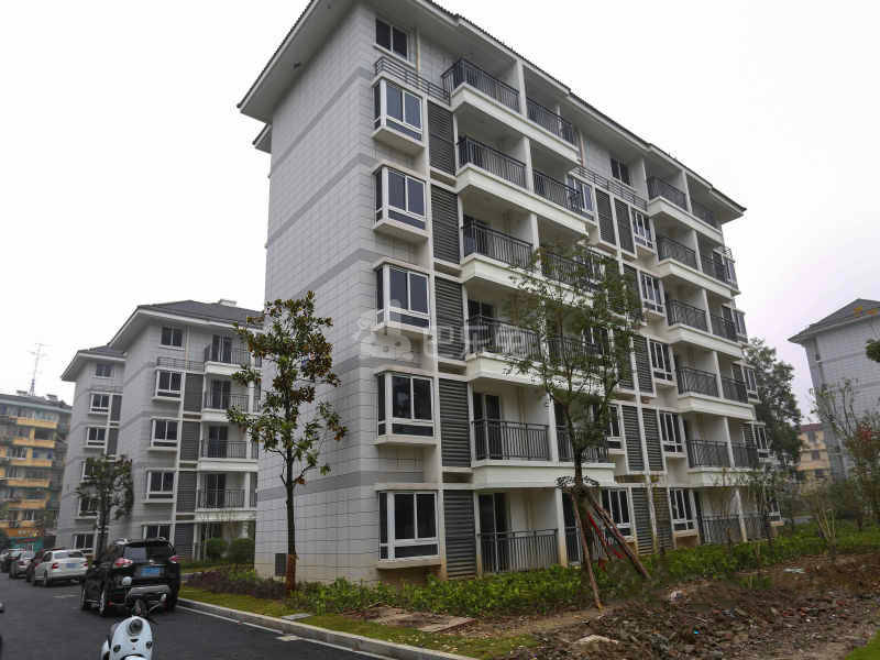 塘河南村12095571周边环境图5