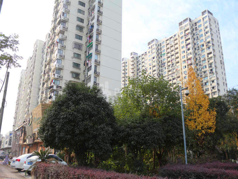 天虹公寓北区18356876周边环境图10