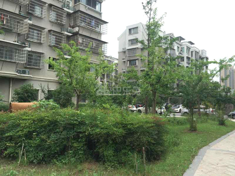 迎春北苑5103907周边环境图24