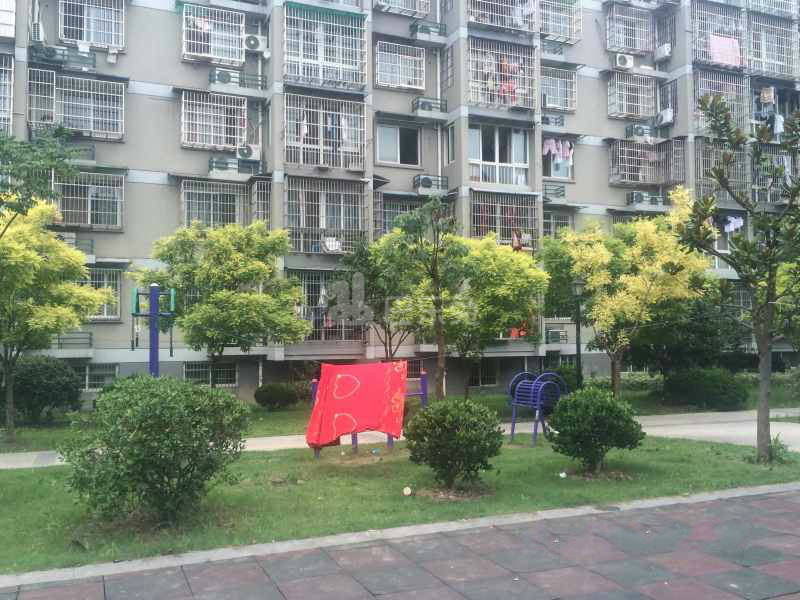 迎春东苑小区17996262周边环境图11